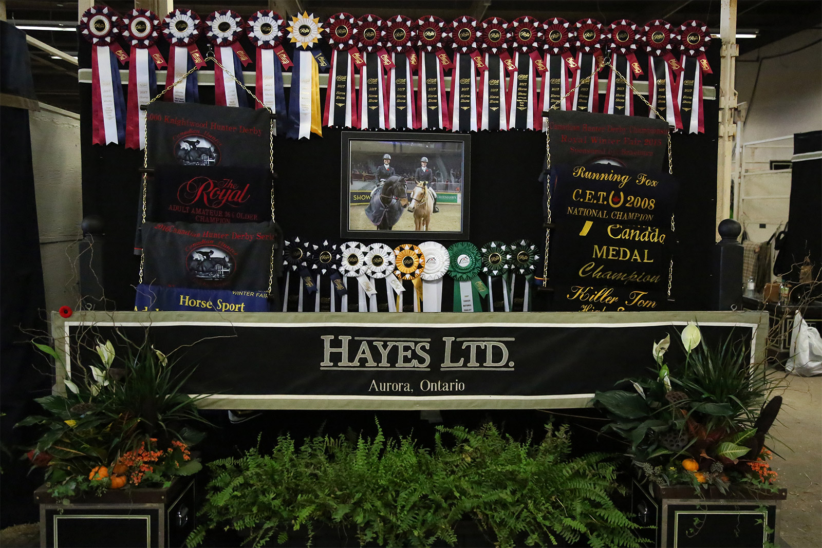 Hayes Ltd. » Contact 