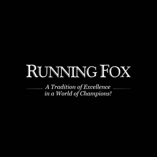 Running Fox